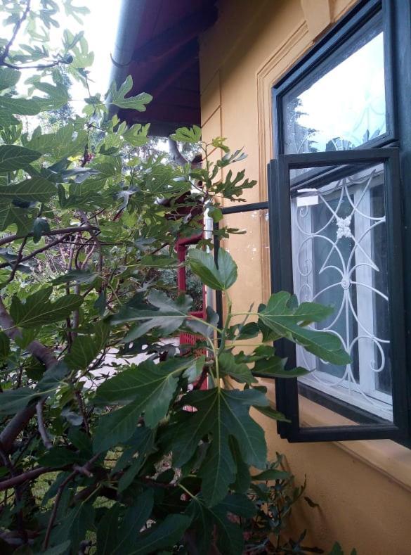 Villa Kundalini Balatonalmádi Eksteriør billede